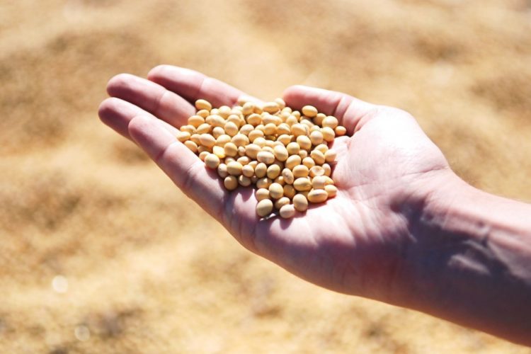 Corso di formazione permanente in agricoltura sociale