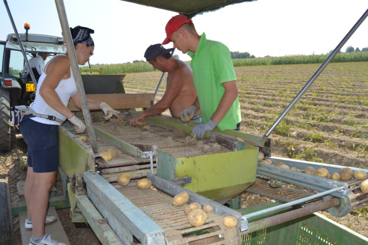 Disegno di legge sul biologico, un segnale positivo: ma per i produttori agro-biologici servono azioni più concrete