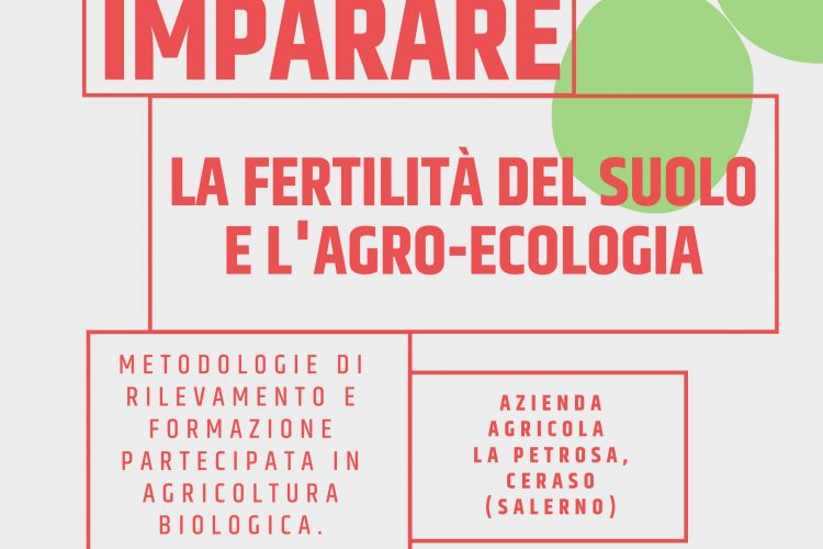 Condividendo Imparare la fertilità del suolo e l’agroecologia