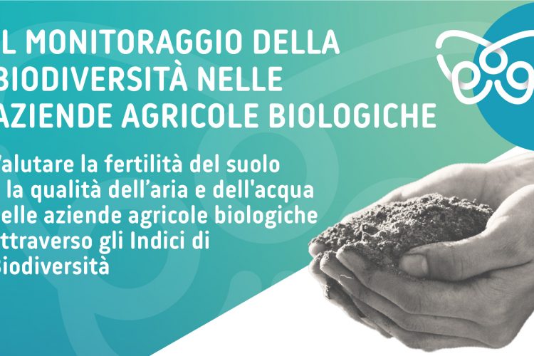 Monitoraggio partecipato | Un corso dedicato al monitoraggio della biodiversità